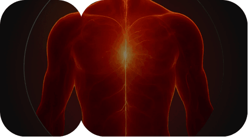 3D render of a bar chart with a target on top, symbolizing progress.